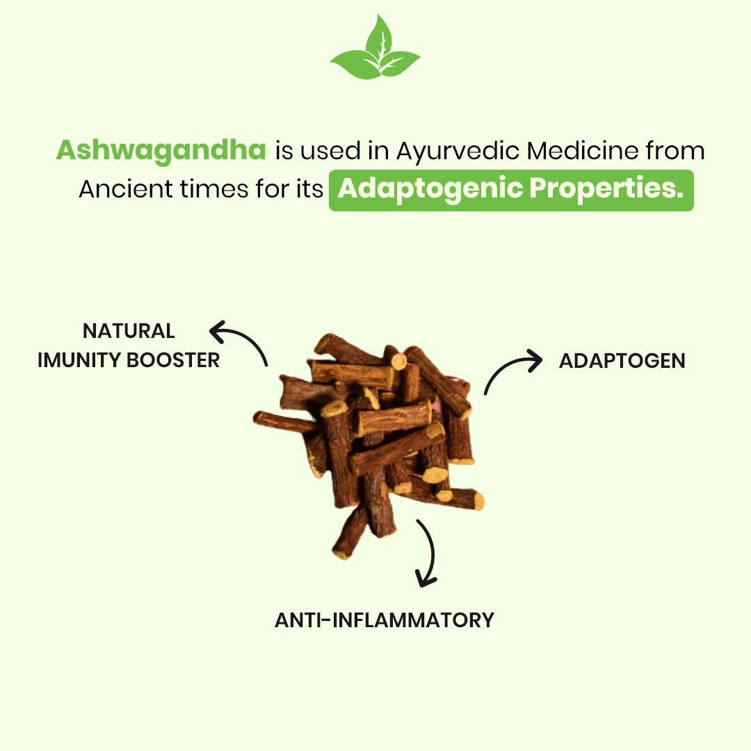 Ashwagandha Capsules - Image 2